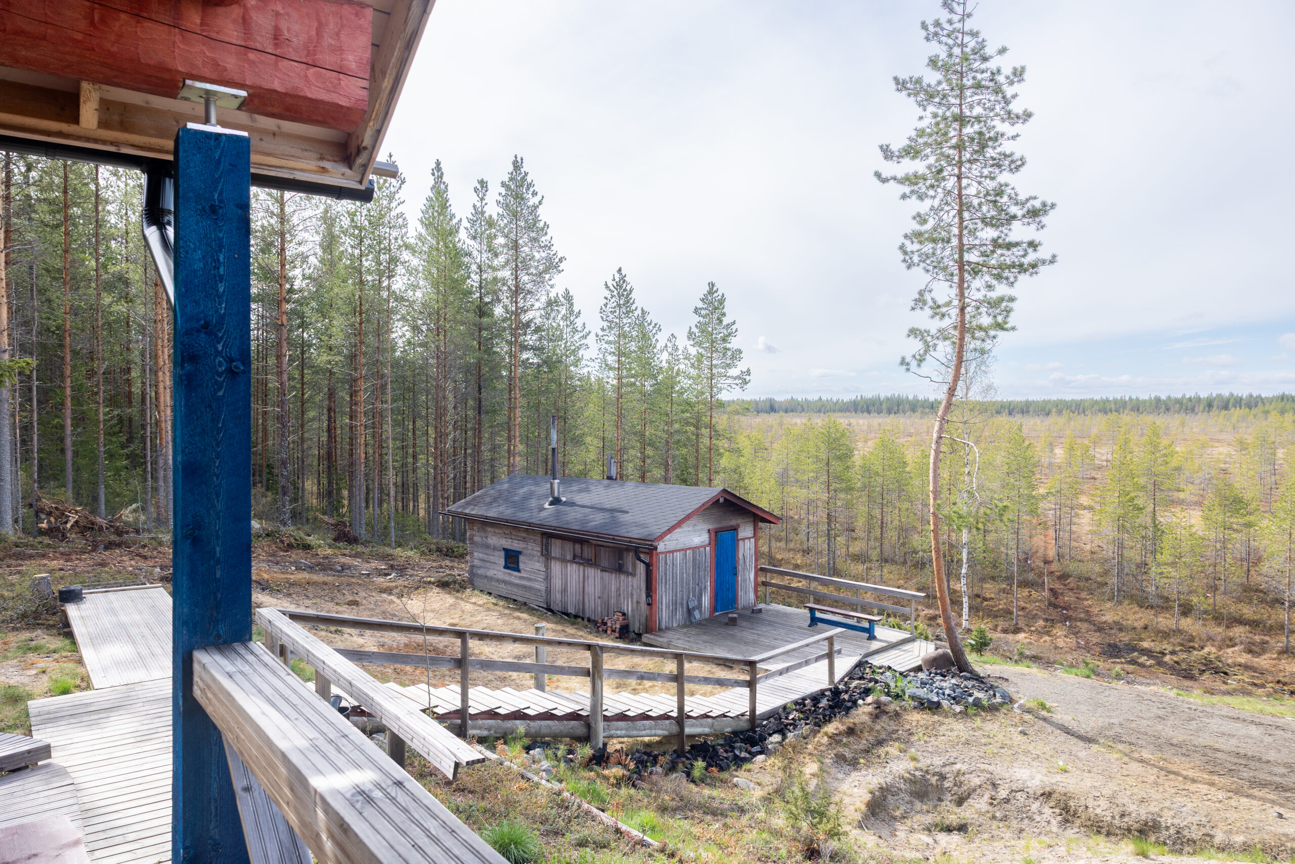 Pohjois-Pohjanmaan hiljainen metsämaisema Ylikiimingissä – rauhaa ja luontoelämyksiä Kisura Safariksen paimennusviikoilla