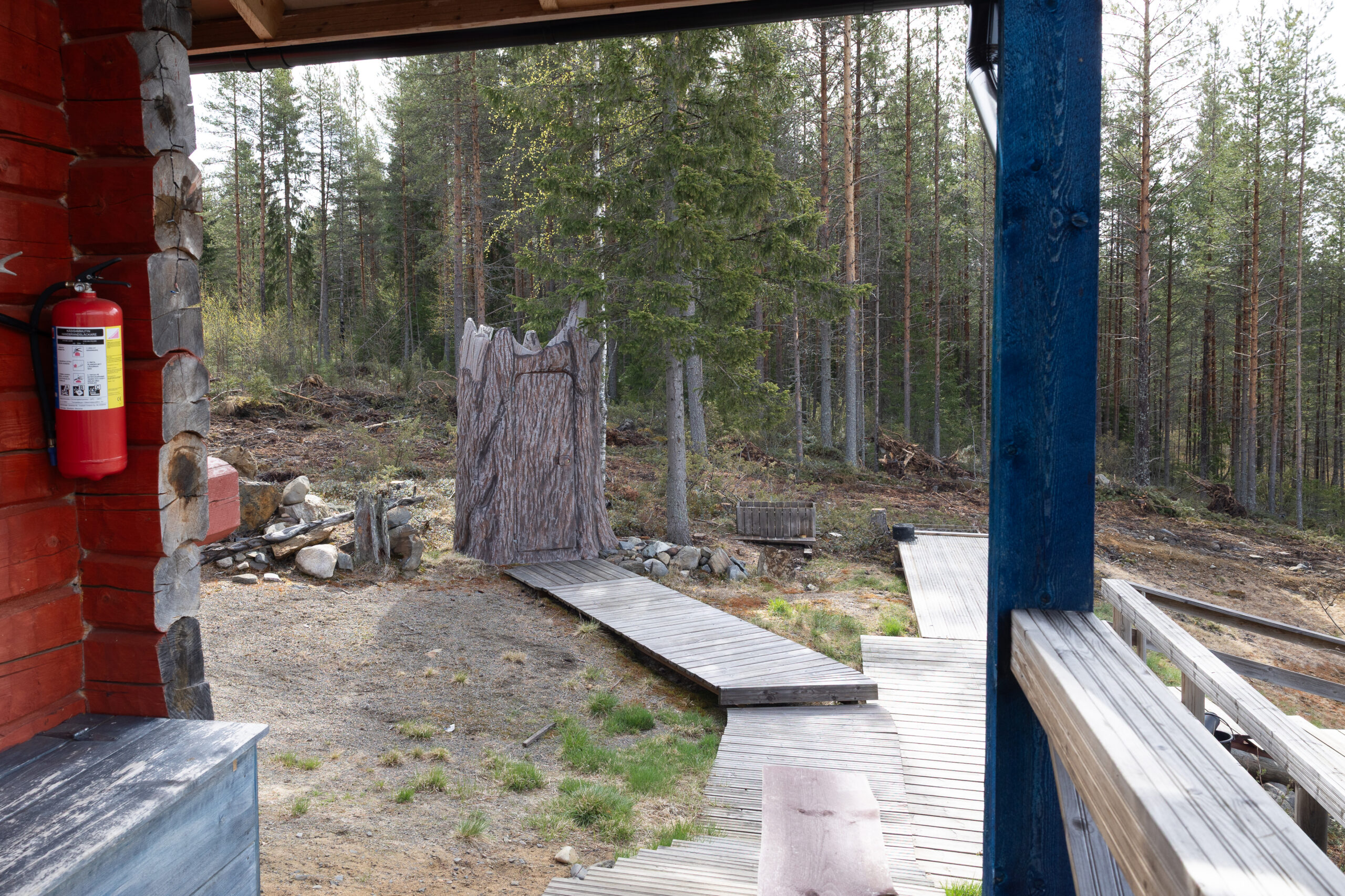 Pohjois-Pohjanmaan hiljainen metsämaisema Ylikiimingissä – rauhaa ja luontoelämyksiä Kisura Safariksen paimennusviikoilla
