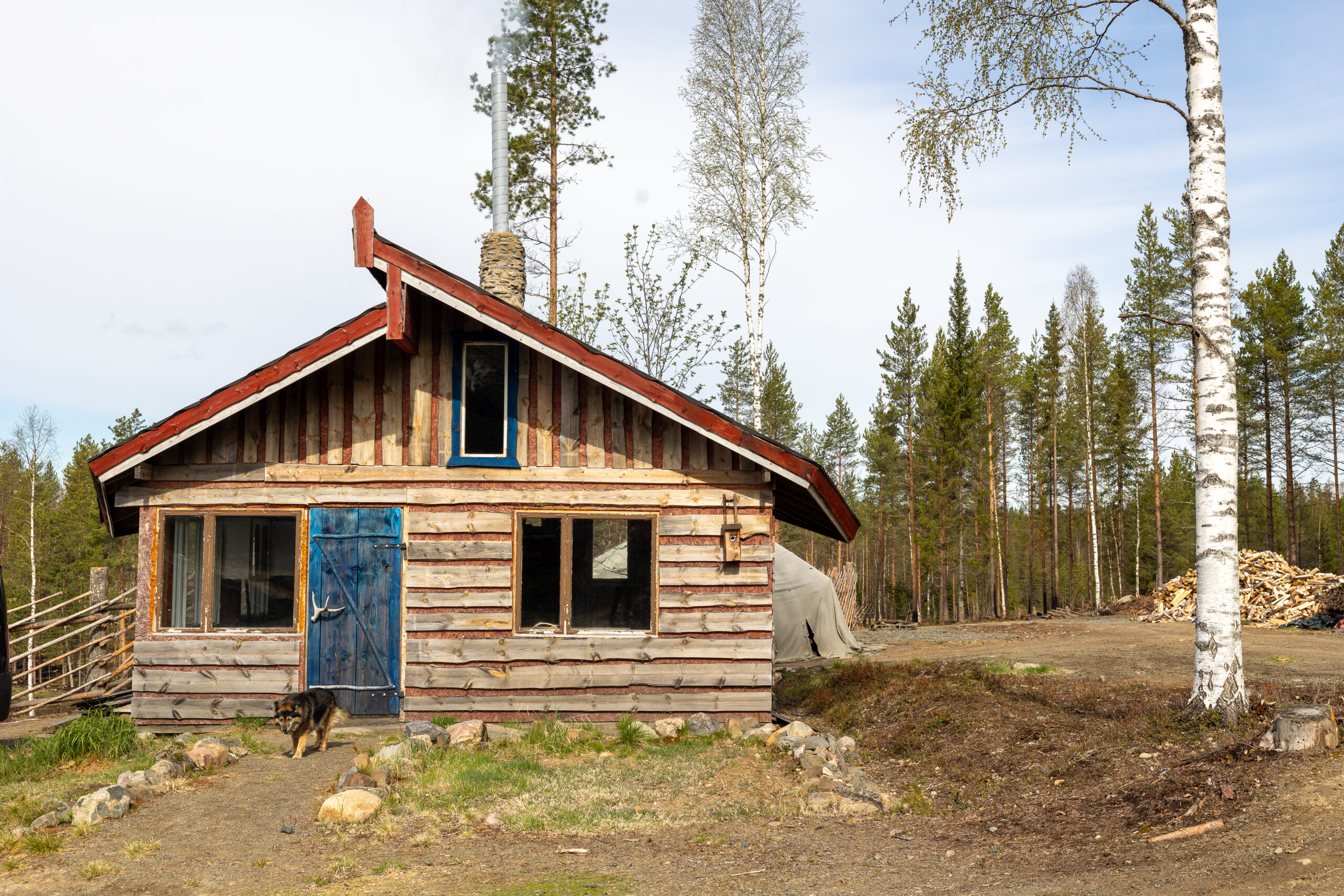 Pohjois-Pohjanmaan hiljainen metsämaisema Ylikiimingissä – rauhaa ja luontoelämyksiä Kisura Safariksen paimennusviikoilla
