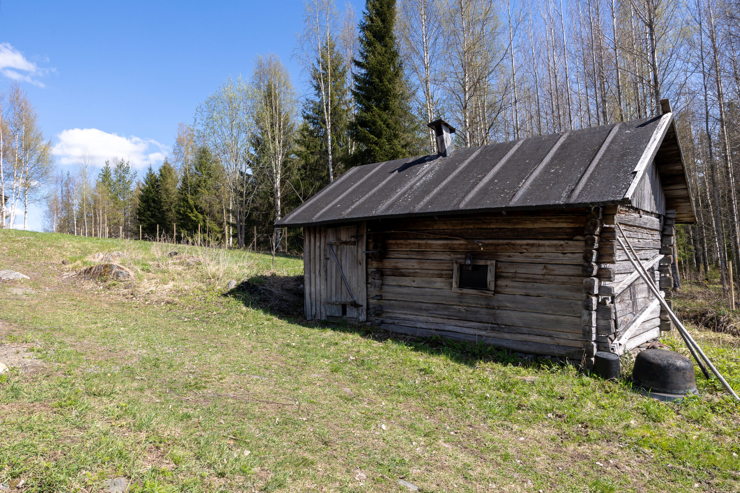 Pohjois-Pohjanmaan hiljainen metsämaisema Ylikiimingissä – rauhaa ja luontoelämyksiä Kisura Safariksen paimennusviikoilla